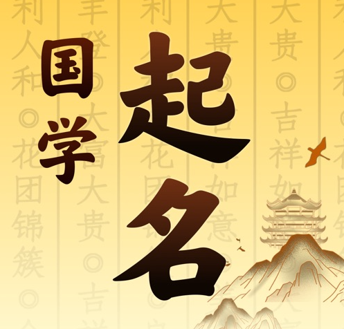 思茅国学起名 人工起名一对一